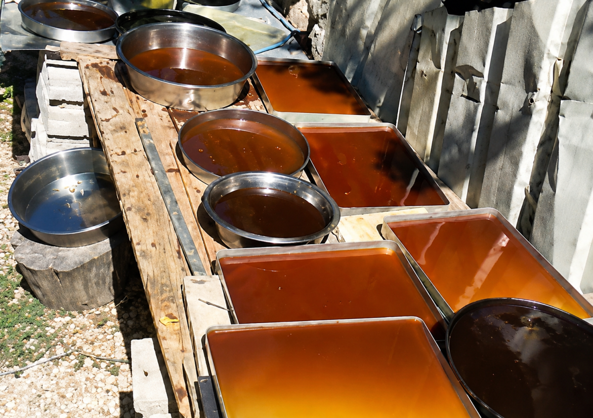 Darende’de Pekmez Kazanları Kaynamaya Devam Ediyor