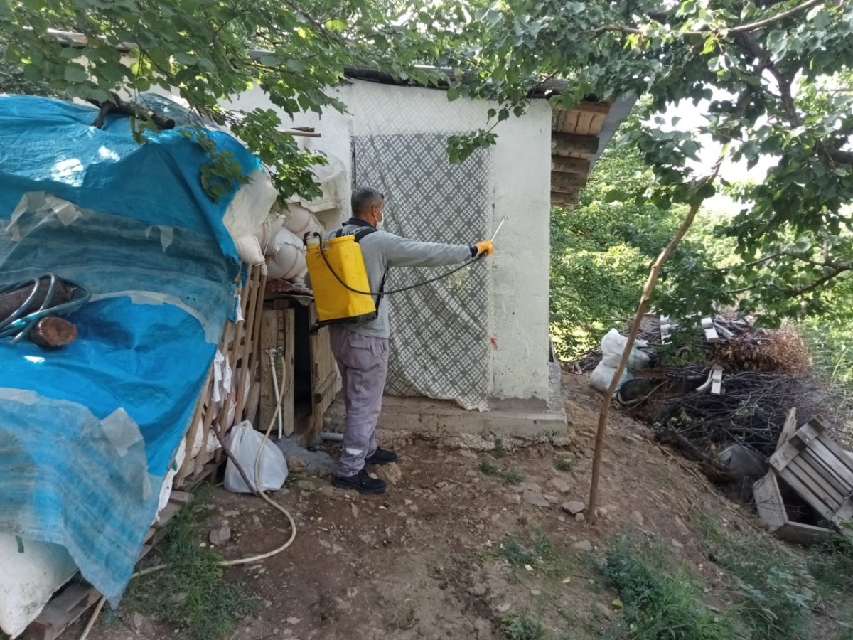  İlaçlama çalışmaları sürüyor