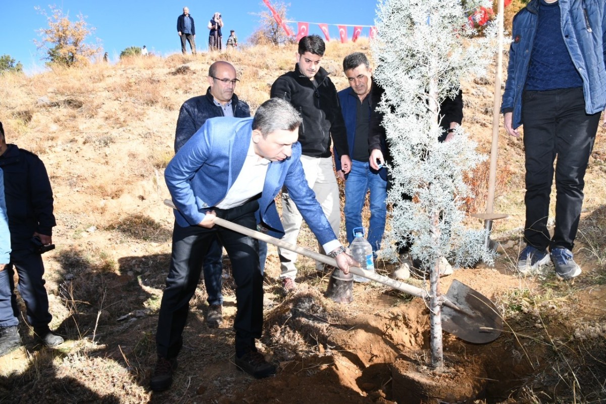 5 bin fidan toprakla buluşturuldu