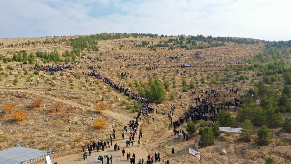 Türkiye Yüzyılına Nefes için fidan dikildi