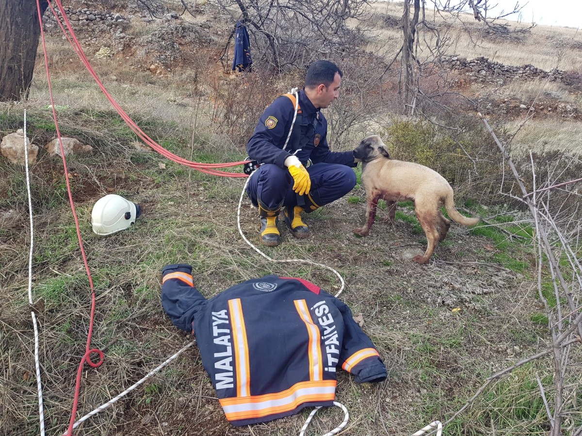 Kuyuya düşen köpeği itfaiye ekipleri kurtardı
