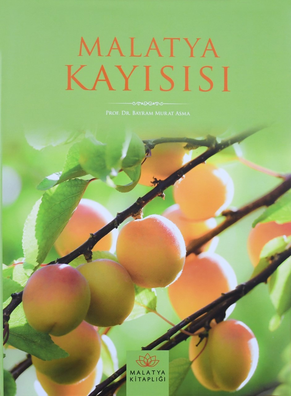 Malatya kayısısı kitabı finalde