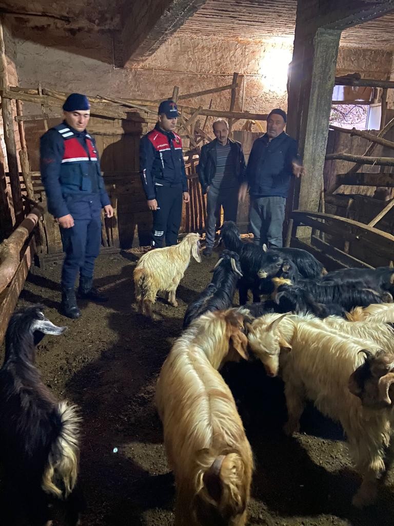 25 kayıp hayvan 10 saat sonra bulundu