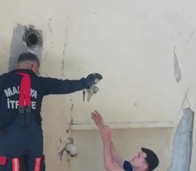 Anne kedi, yavrusu kurtarılırken bir an olsun başından ayrılmadı