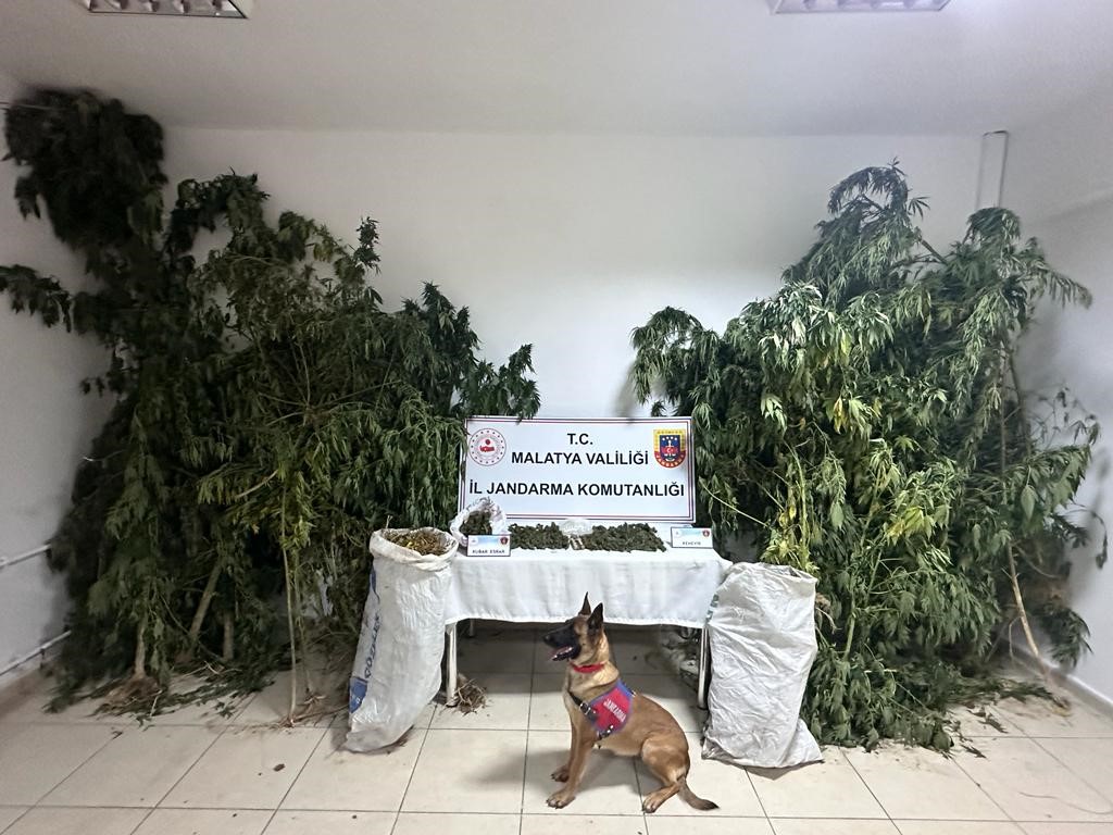 Zehir tacirlerine büyük darbe