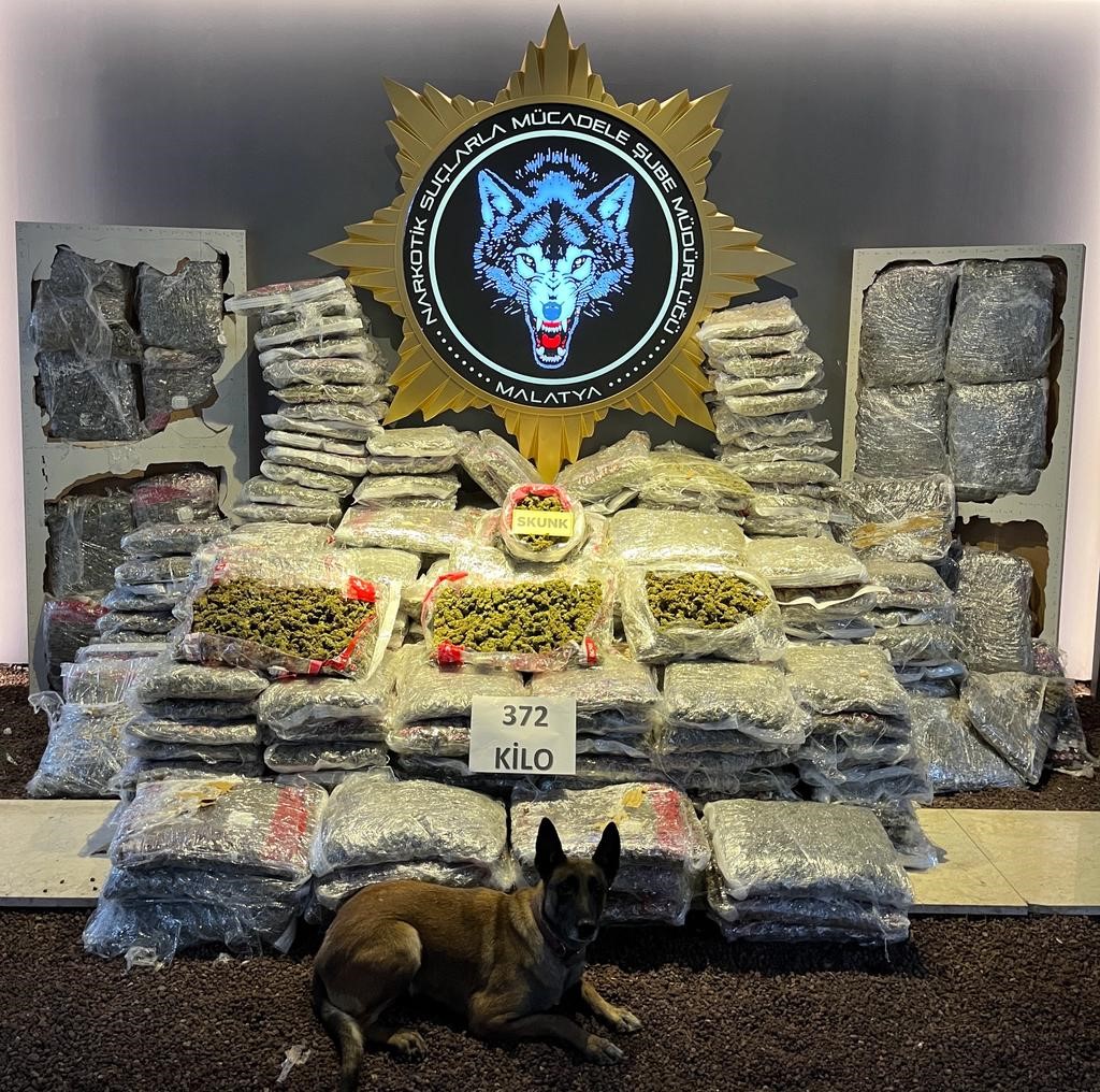 Polisin yaptığı operasyonda 372 kilo skunk ele geçirildi