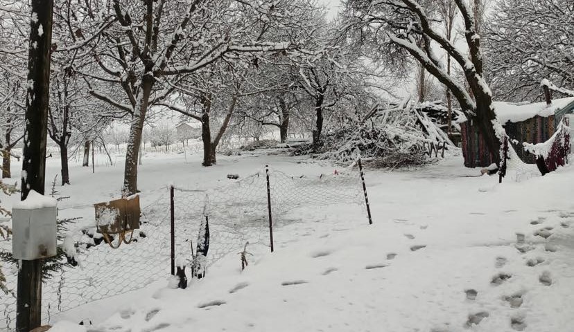 Darende'de kar yağışı etkili oldu