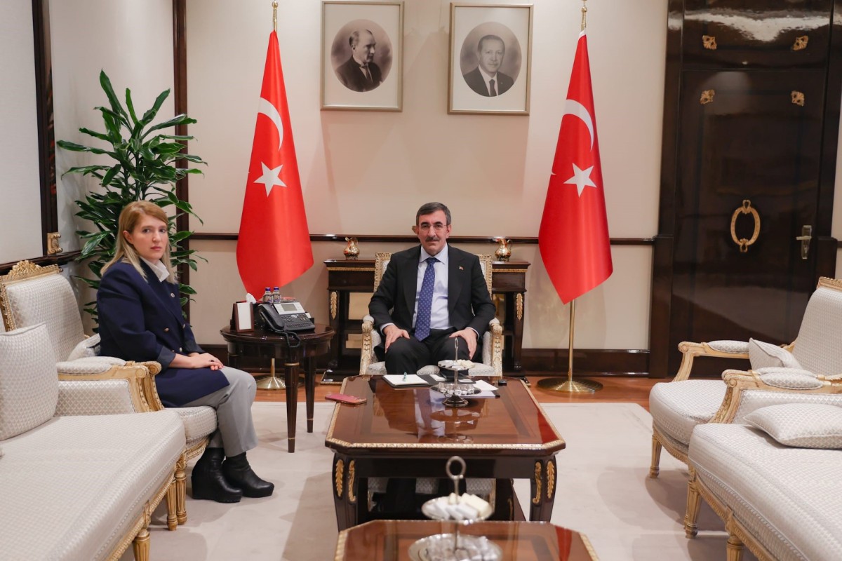 Cumhurbaşkanı yardımcısı, Milletvekili Ölmeztoprak ile görüştü