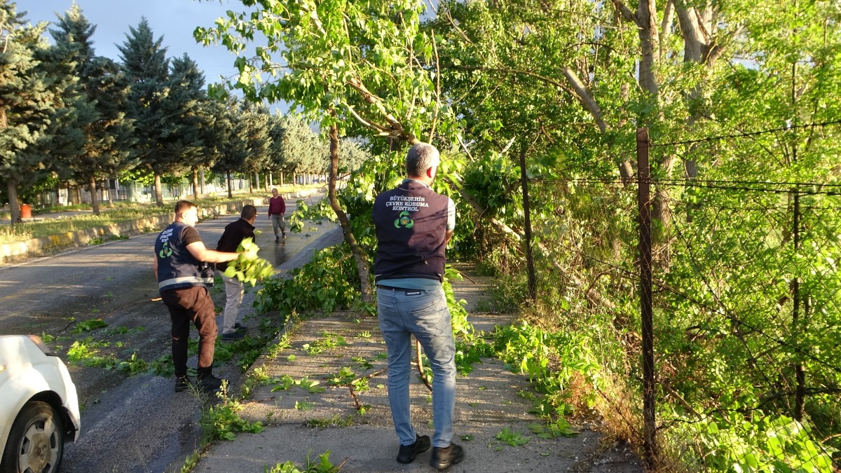 15 dakikalık fırtına ağaçları devirdi