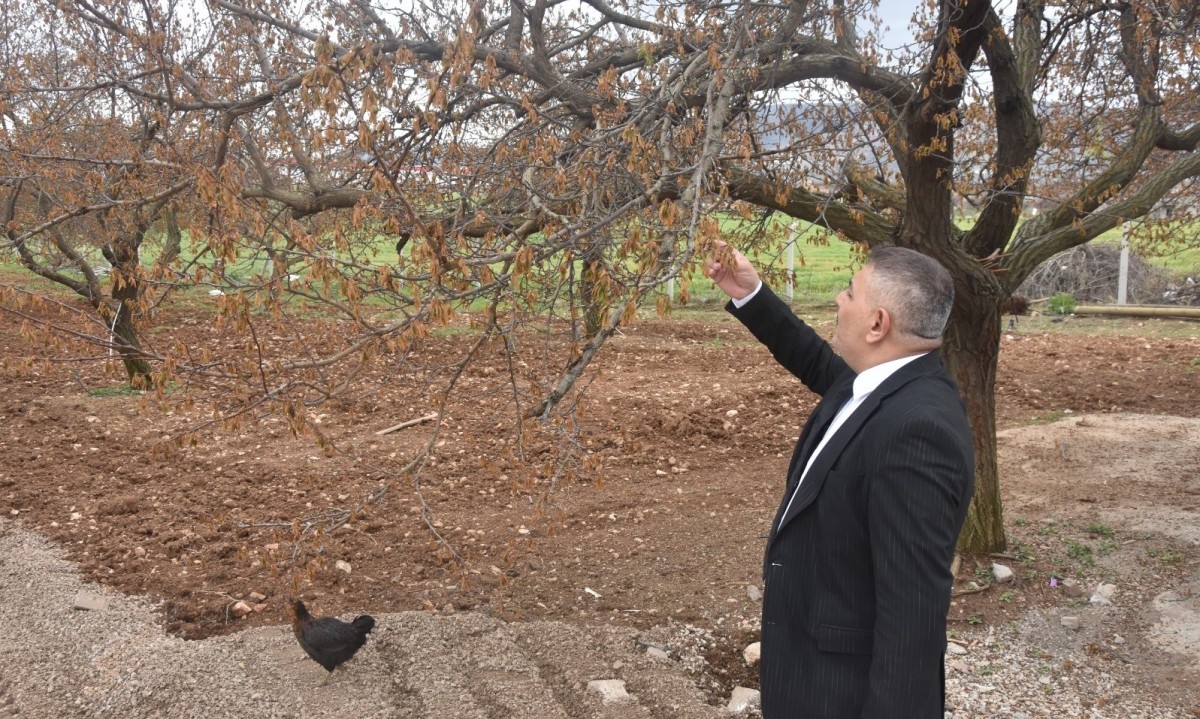 Sadıkoğlu: 