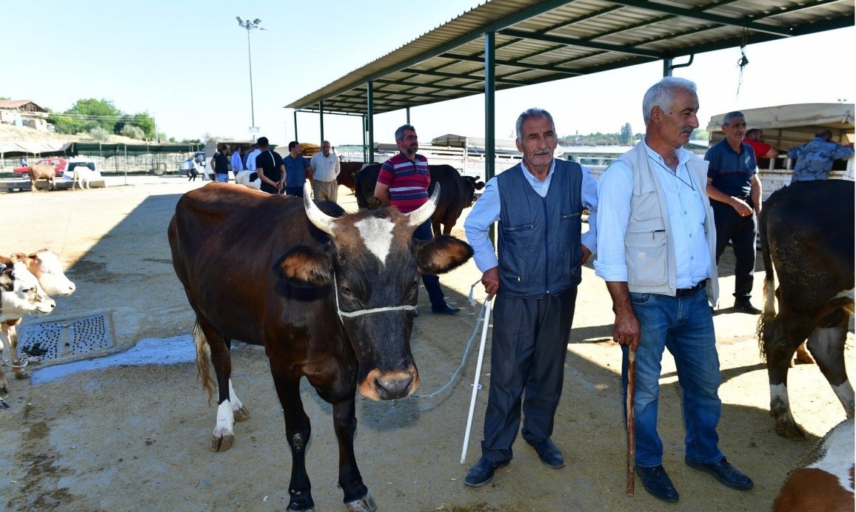 Yeşilyurt Belediyesi 41 noktada kurban satış ve kesim yeri belirledi