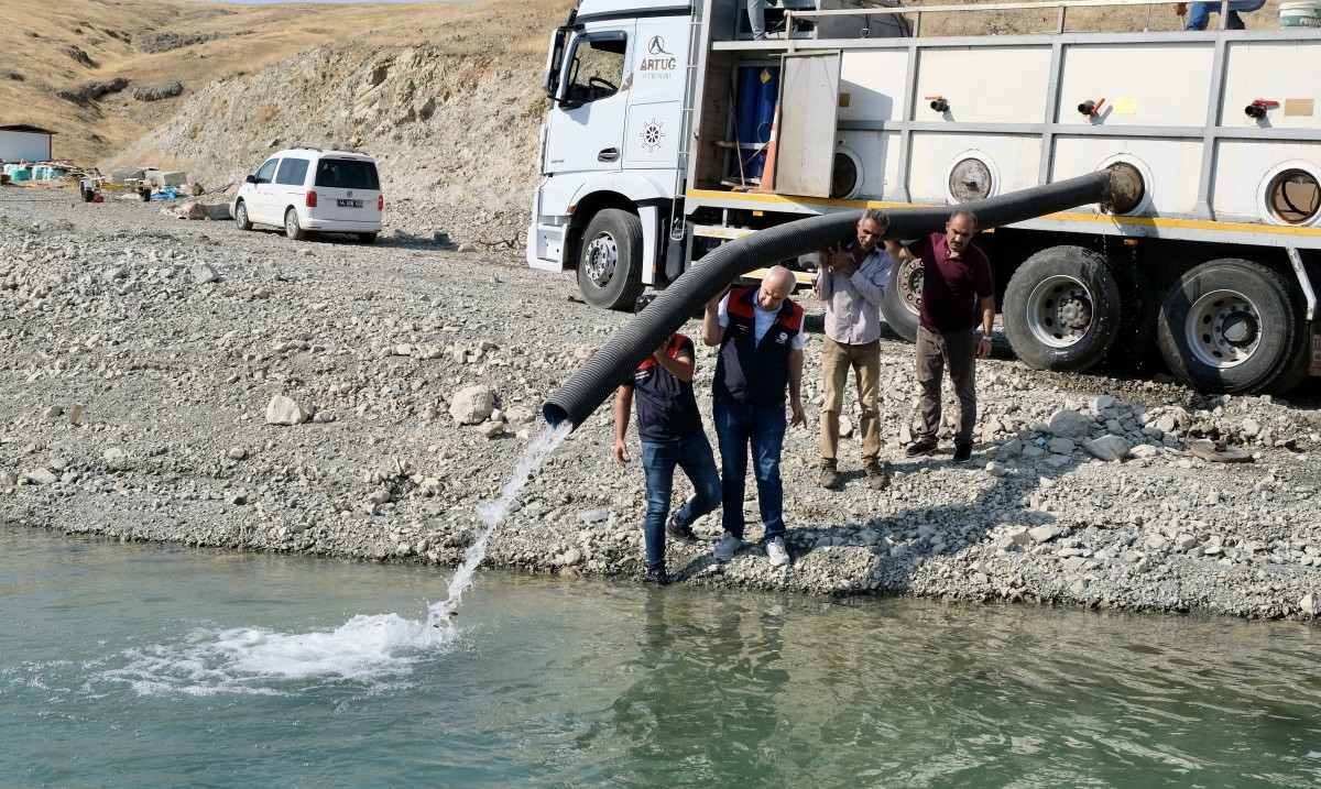Göl ve göletlere 1 milyon 73 bin yavru sazan bırakıldı