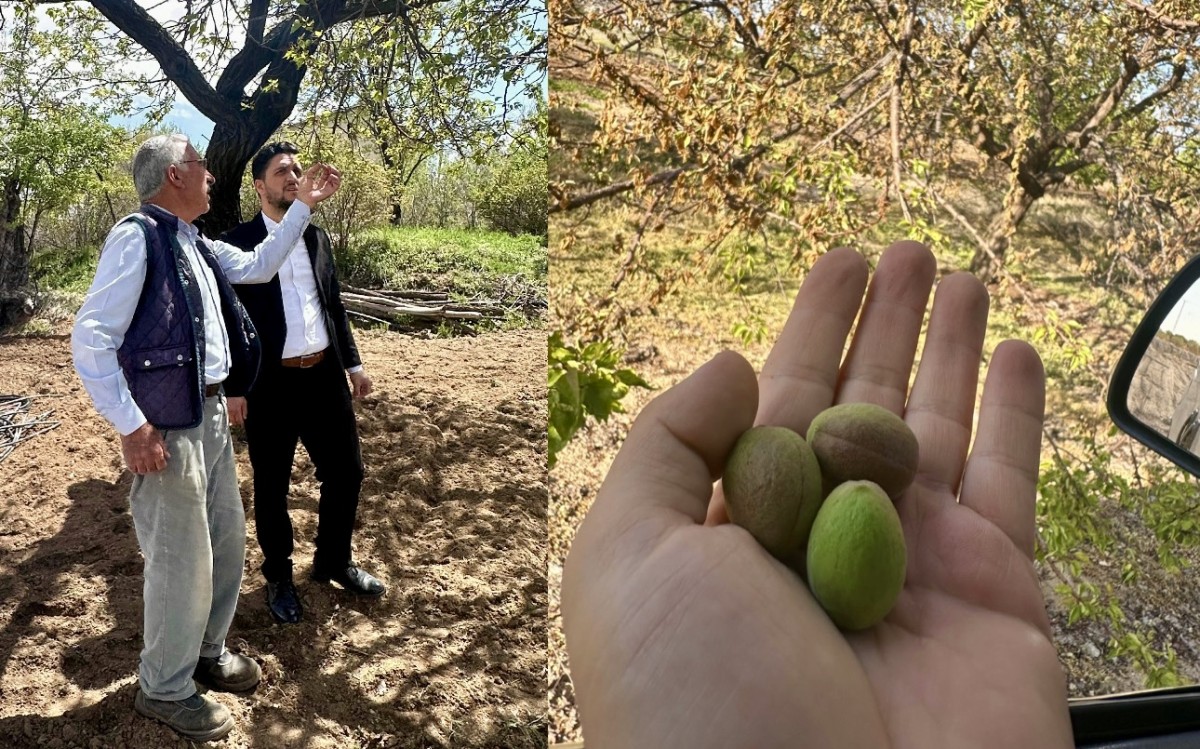 “Destek Var, Umut Var; Çiftçiye Daha Fazla Destek Şart!”