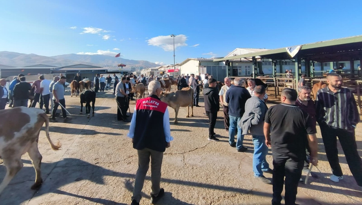 Hayvan Pazarı Yeniden Açıldı: Şap hastalığı nedeniyle kapalıydı