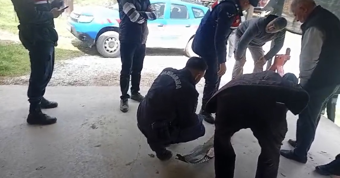  Peş Peşe Bulunan Şüpheli Cisimler Merak Uyandırdı