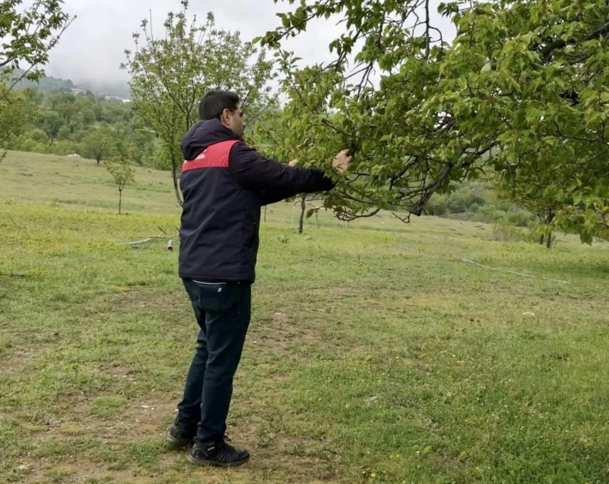 Malatya’da Dolu Sonrası Hasar Tespit Çalışmaları Başladı