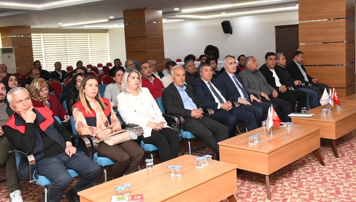 Kayısıda Don ve Kalıntı Kıskacı: İhracat İçin Kritik Uyarılar